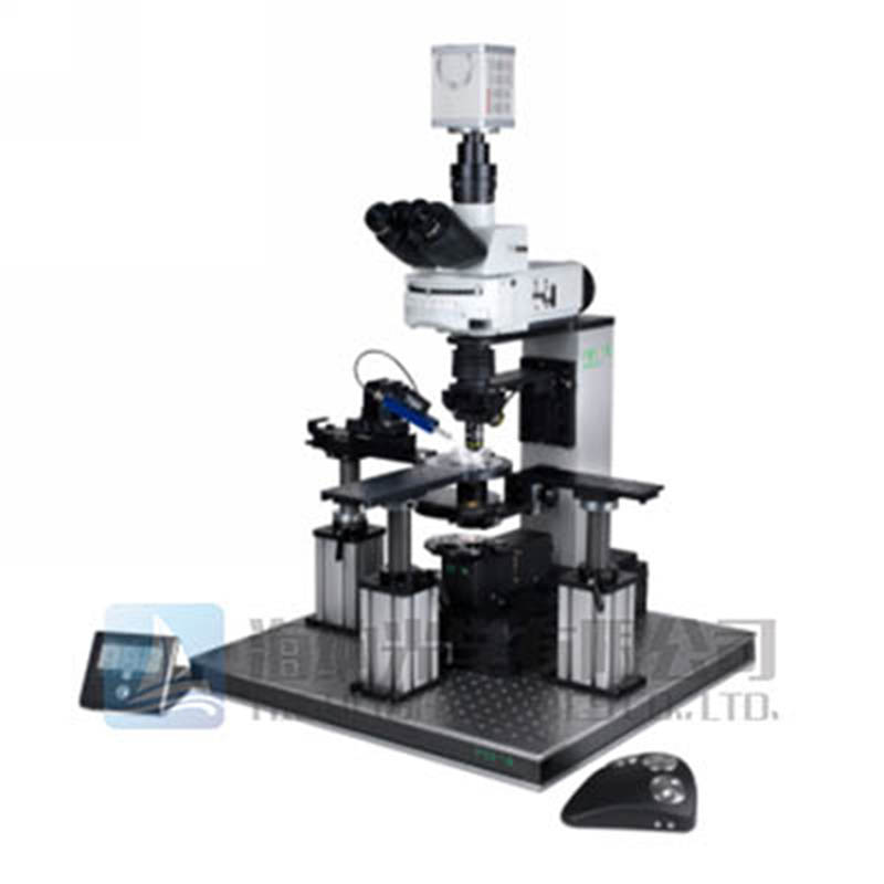 电生理显微镜载物台，神经科学显微镜电动平台